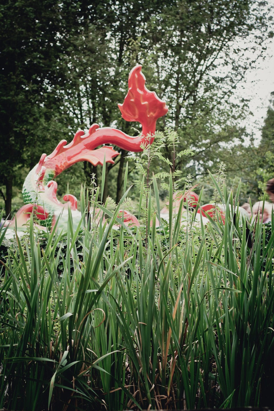 20110716-IMG_5780