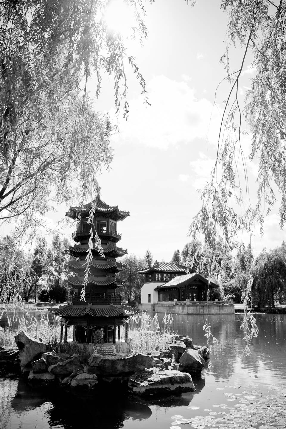 20110906 IMG 6366