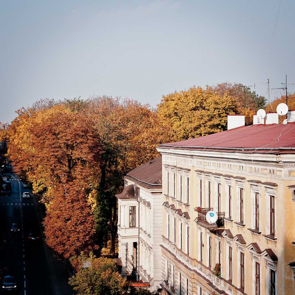 20111030-IMG_6896