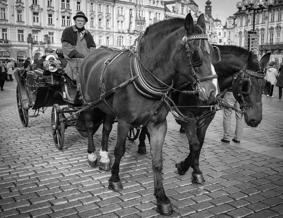 PRAG-blog-IMG-255