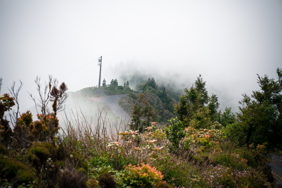 20130710-IMG_8868