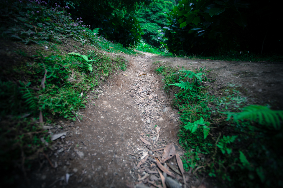 20130713 AZO 130713 IMG 9453 144