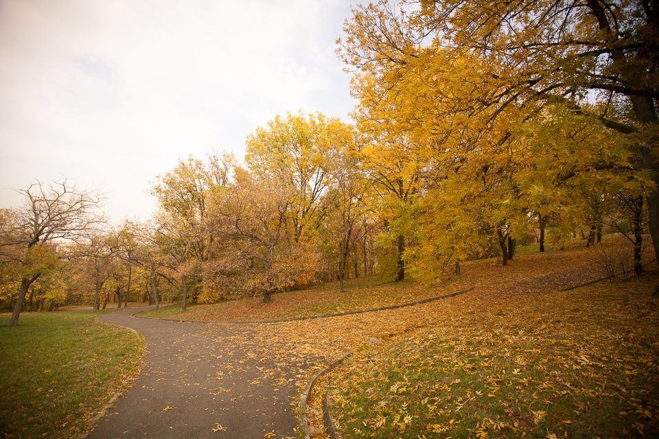 20131024-BUD-131024-IMG_0872-030