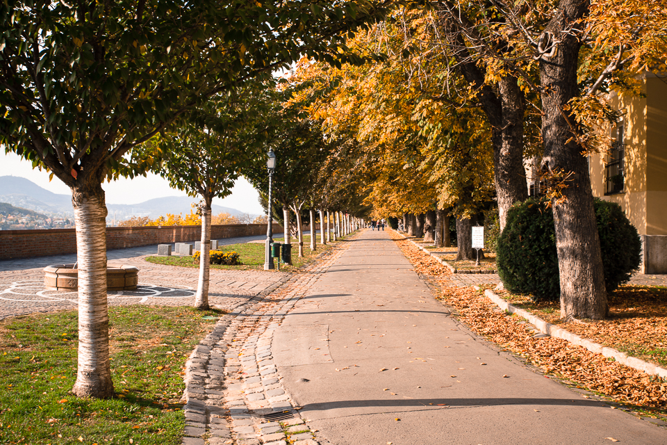 20131024-BUD-131024-IMG_0914-071