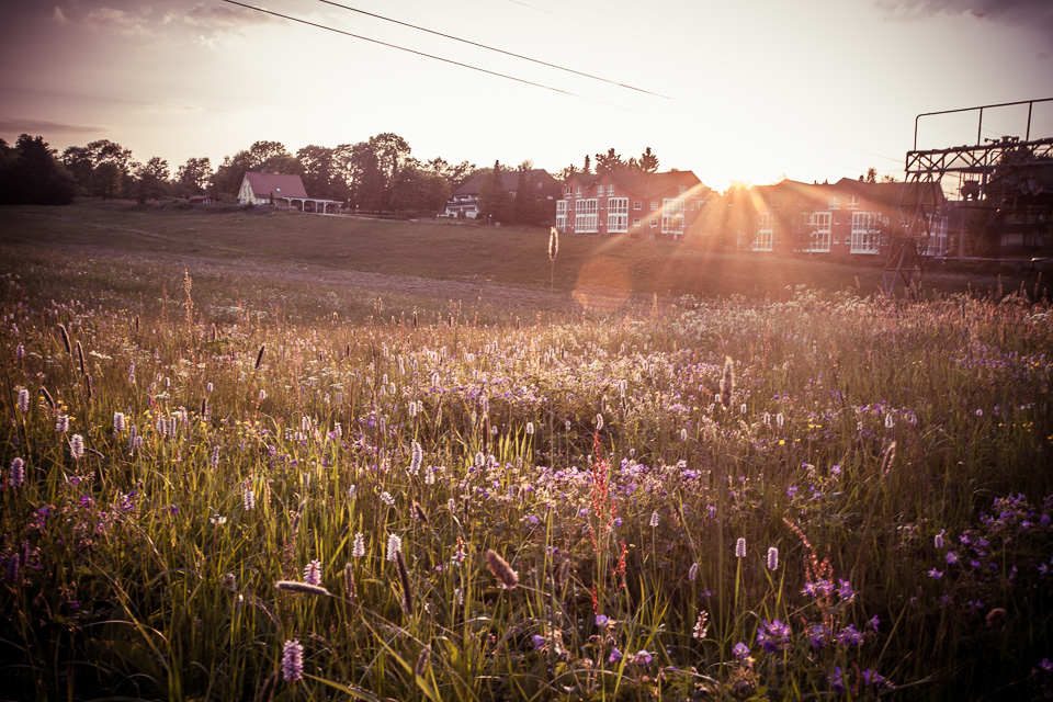 140601-IMG_5153-182