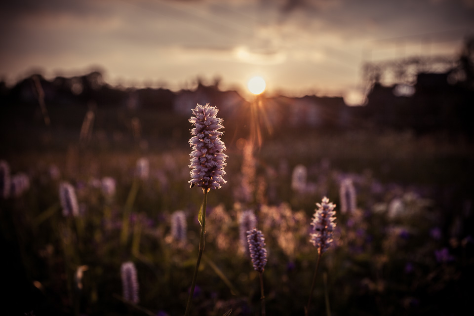 140601-IMG_5156-185