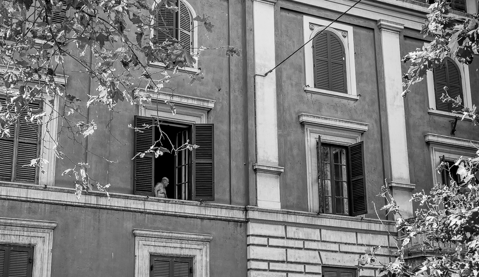 ROM-141017-IMG_8883-020