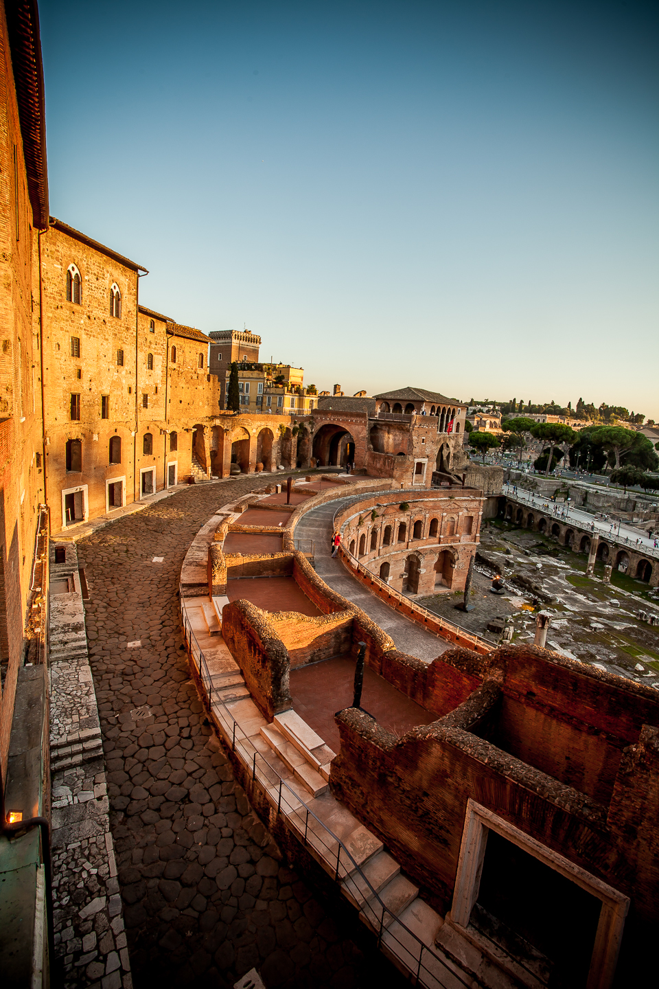 ROM-141018-IMG_9121-246