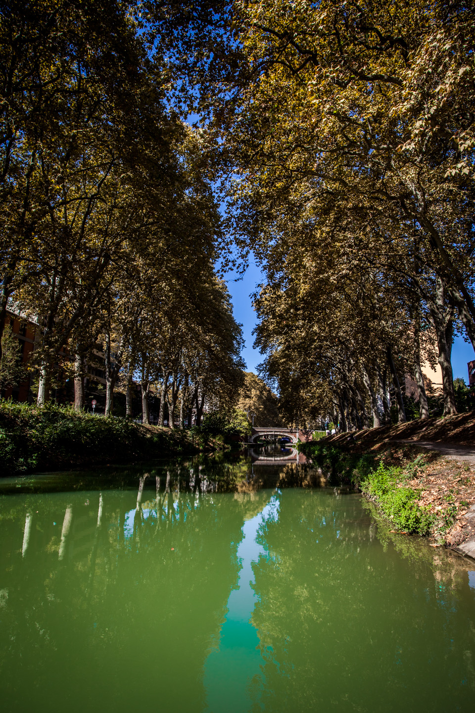 Toulouse