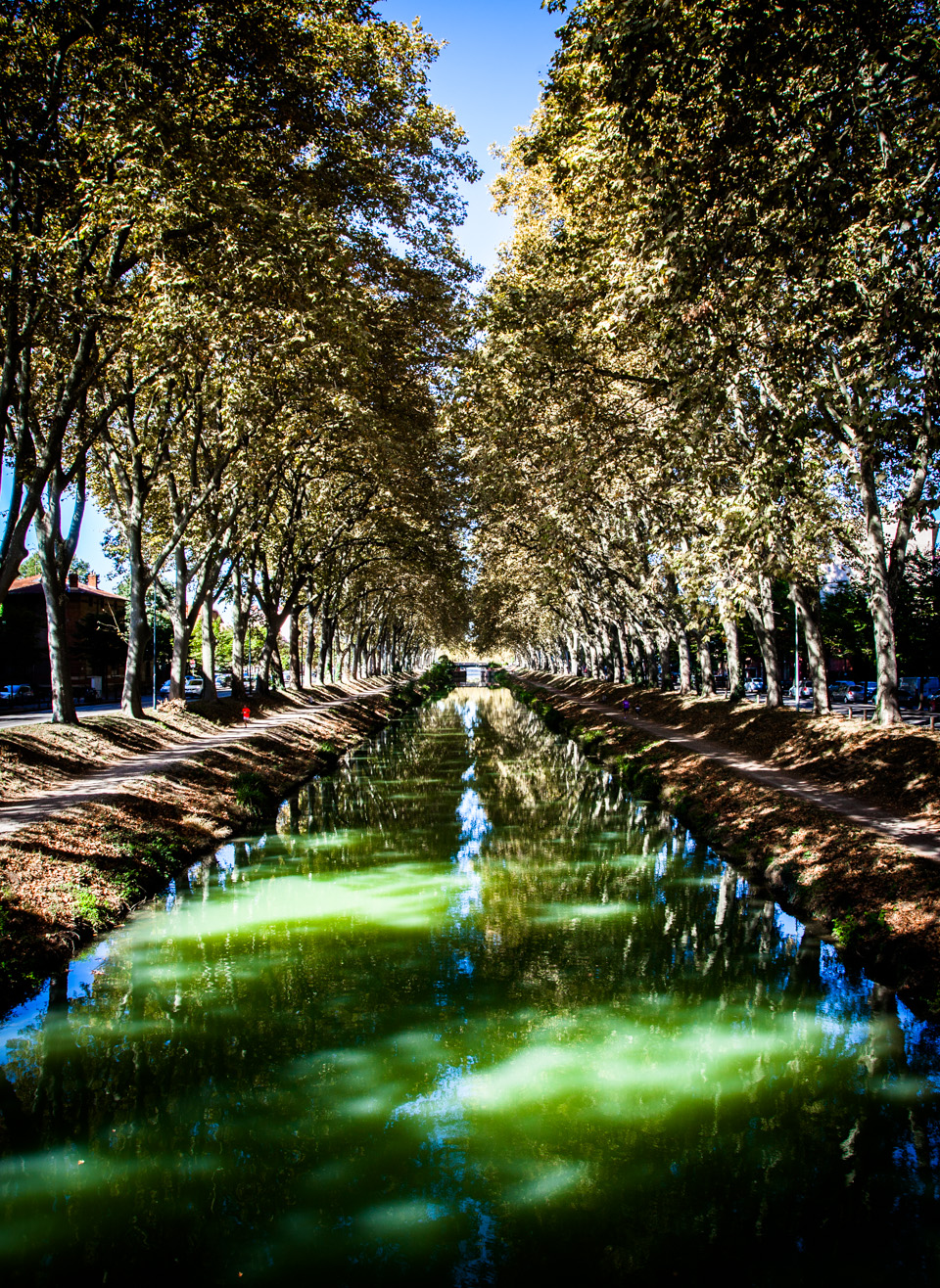 Toulouse