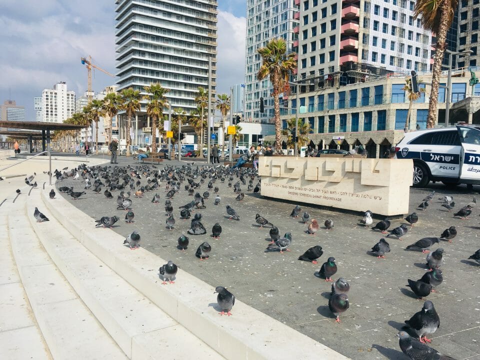 Am Strand von Tel Aviv