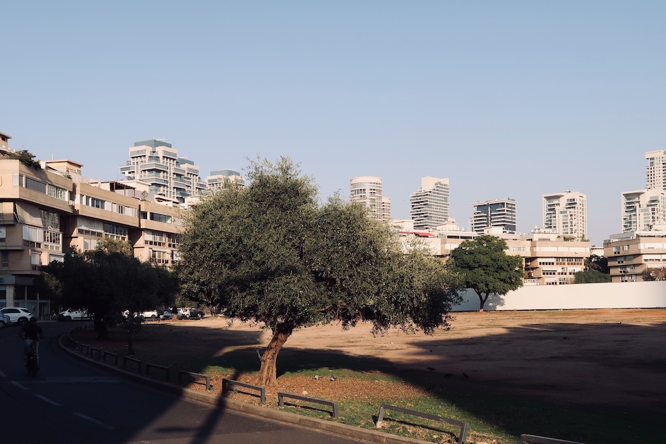 Kikar Hamedina