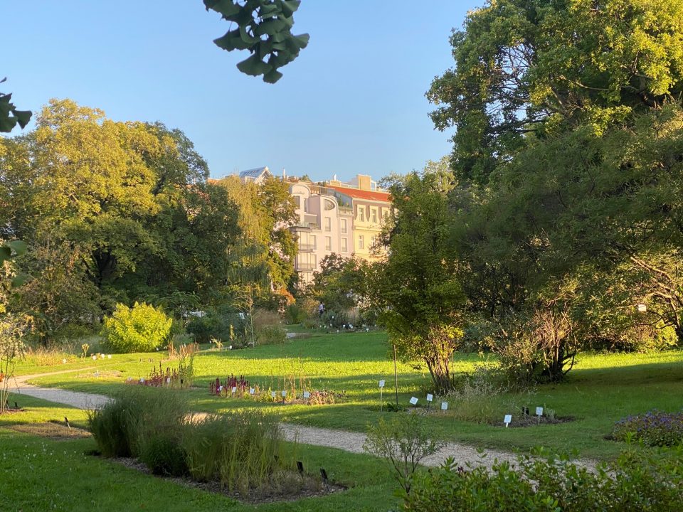 Botanischer Garten