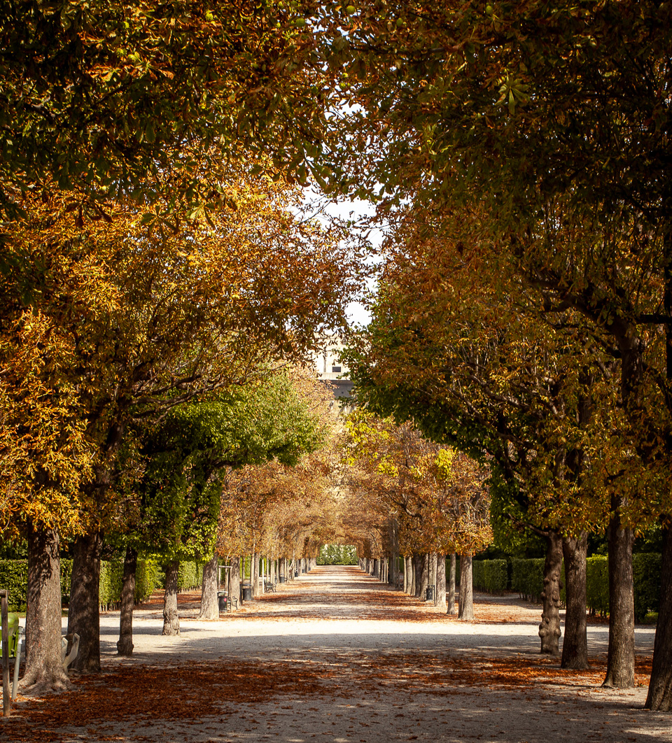 Augarten