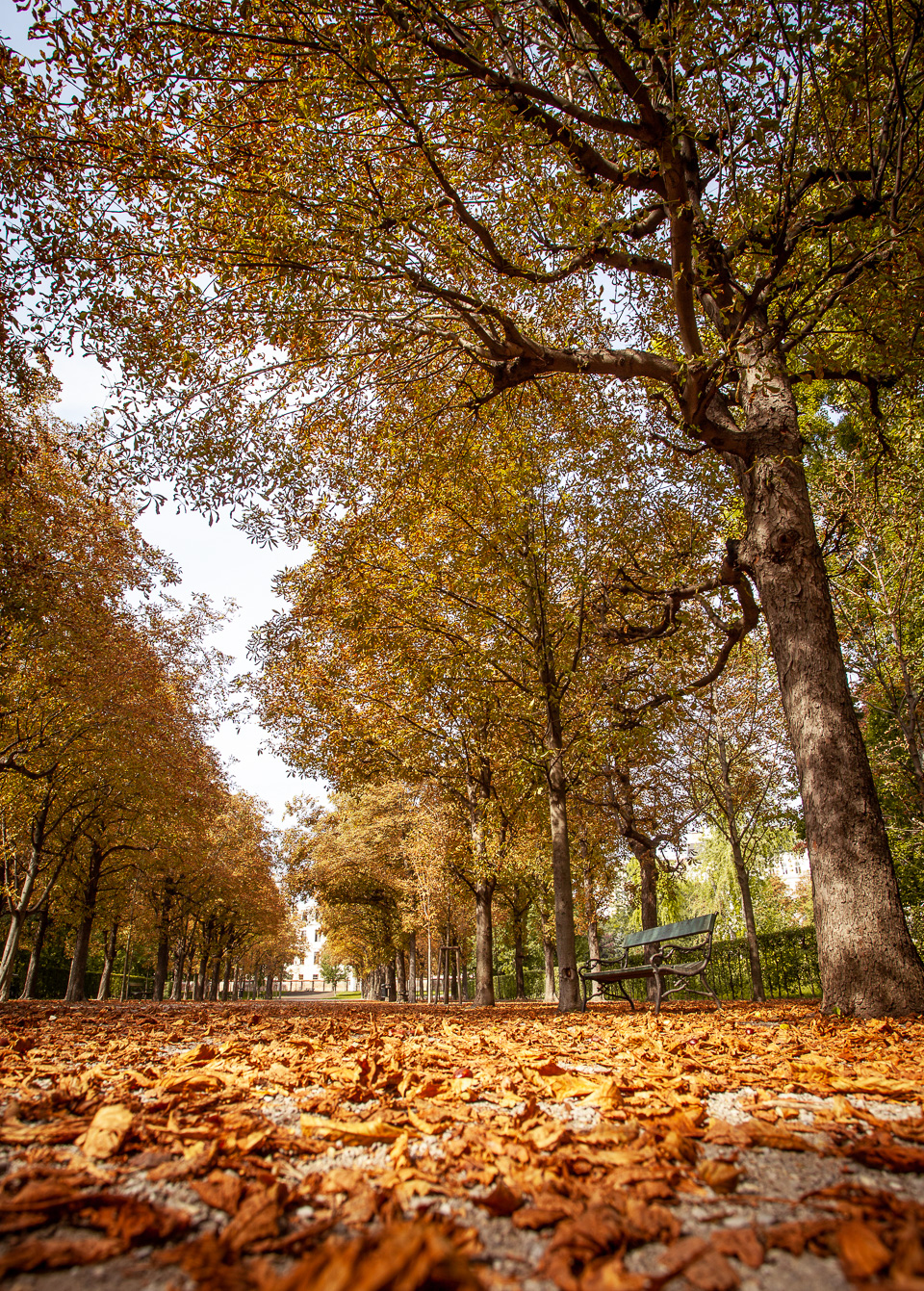 Augarten