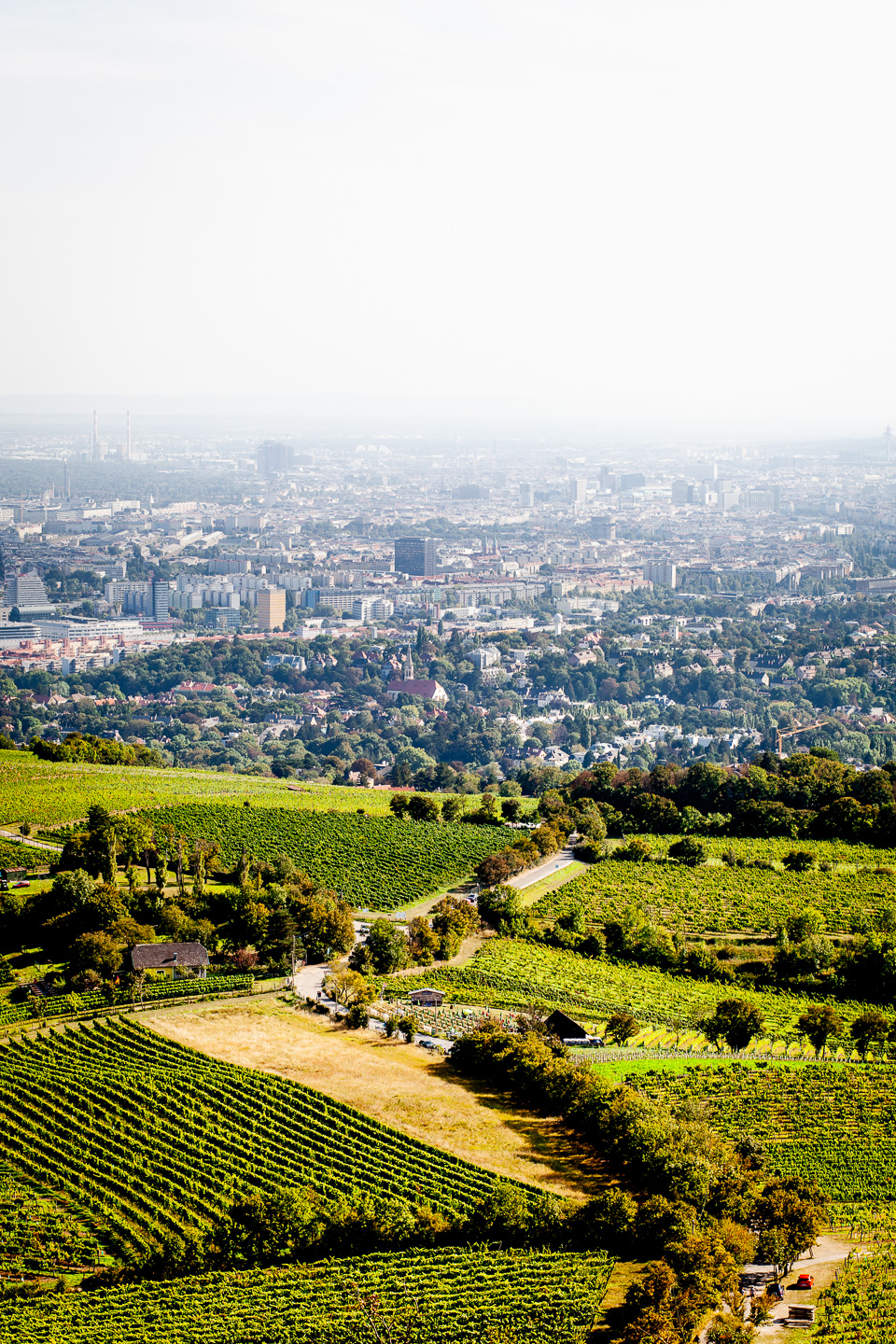 Blick vom Kahlenberg auf Wien