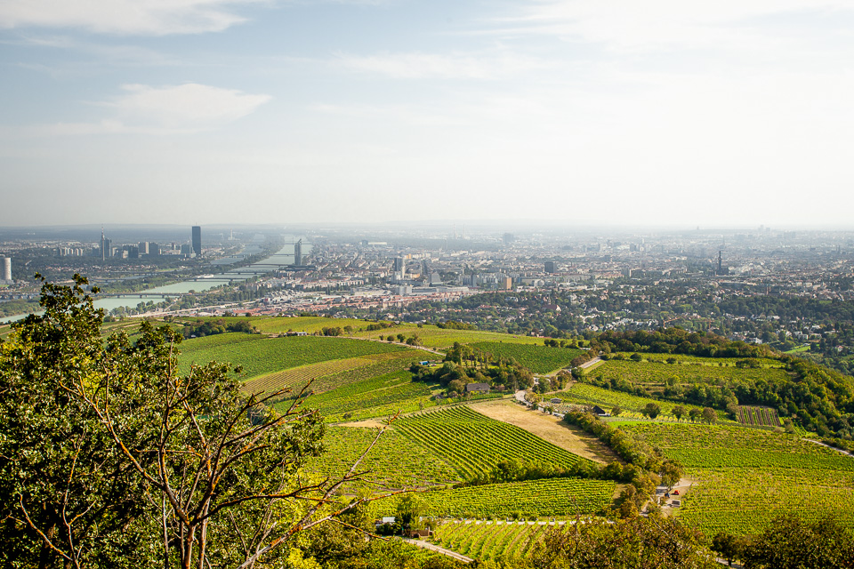 Blick vom Kahlenberg auf Wien