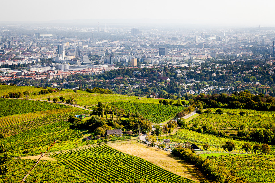 Blick vom Kahlenberg auf Wien