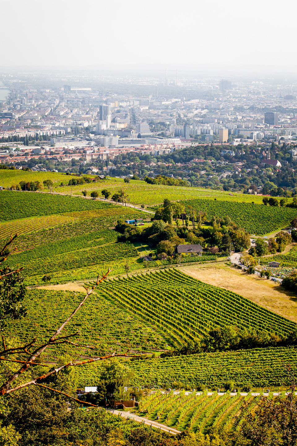 Blick vom Kahlenberg auf Wien