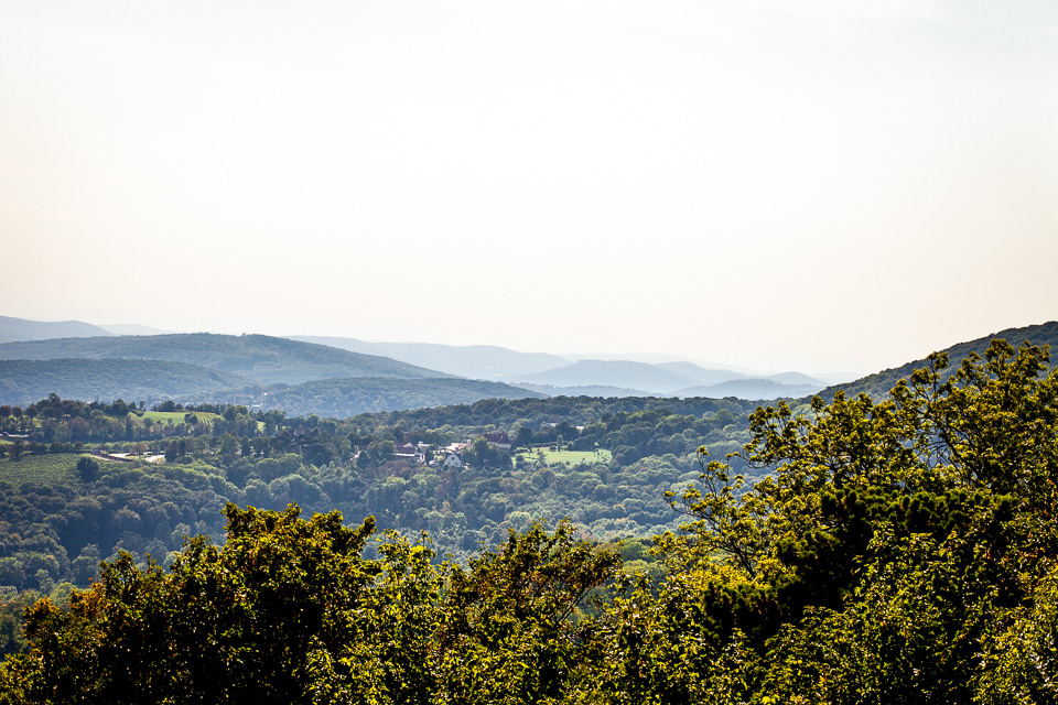 Blick vom Kahlenberg