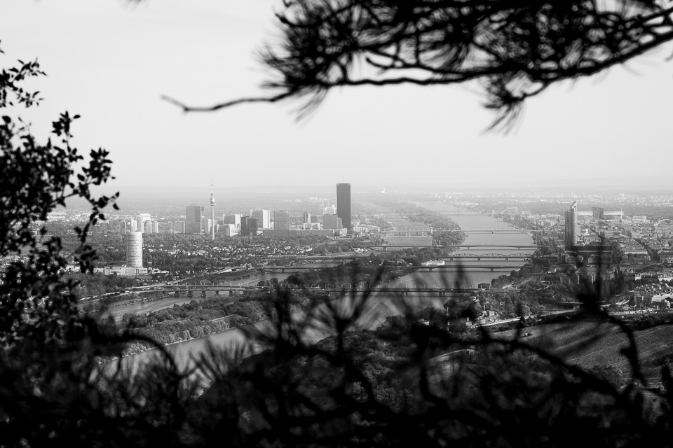 Blick vom Leopoldsberg auf Wien