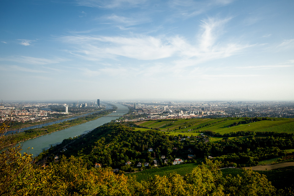 Blick vom Leopoldsberg auf Wien