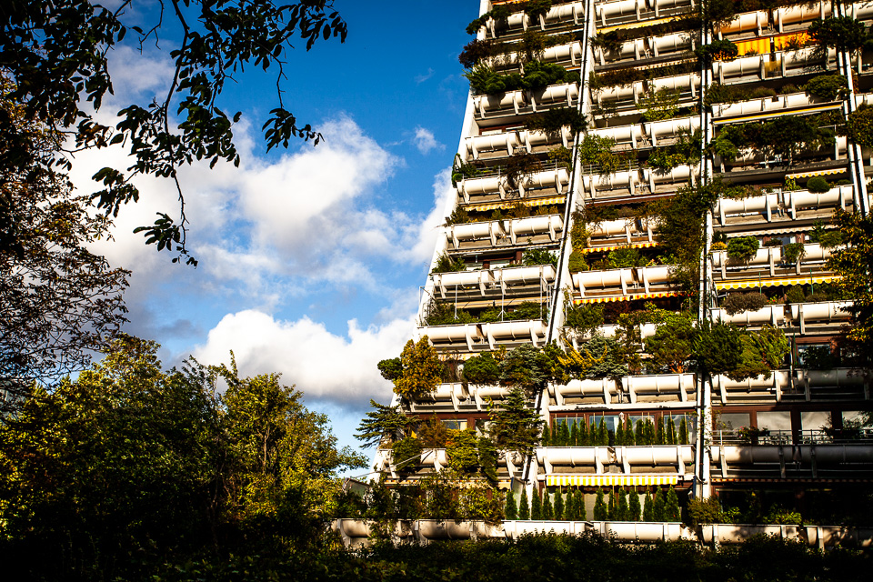 Wohnpark Alterlaa