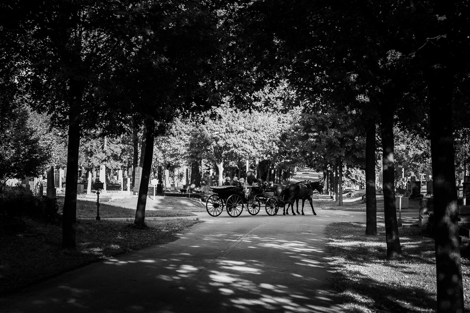 Zentralfriedhof Wien