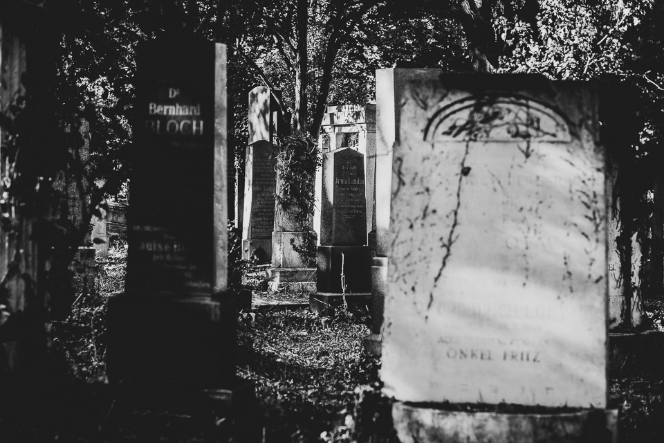 Zentralfriedhof Wien
