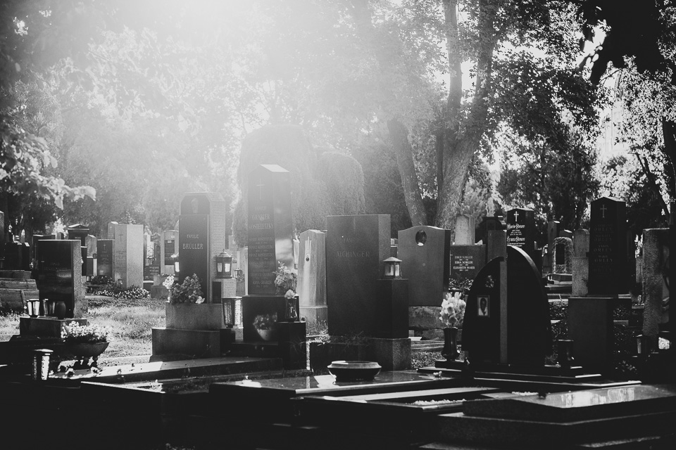 Zentralfriedhof Wien