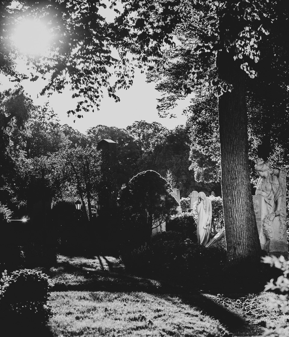 Zentralfriedhof Wien