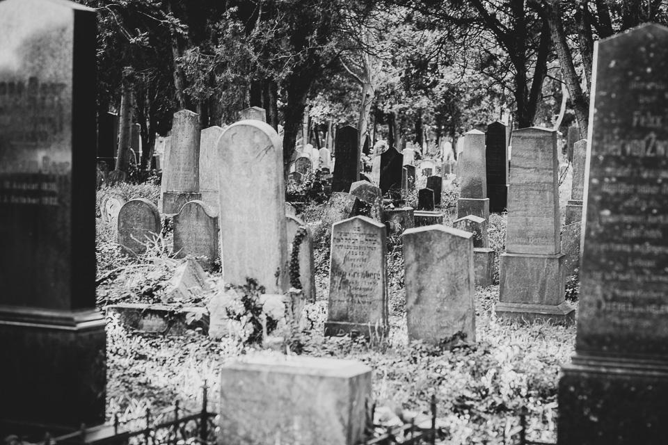 Zentralfriedhof Wien