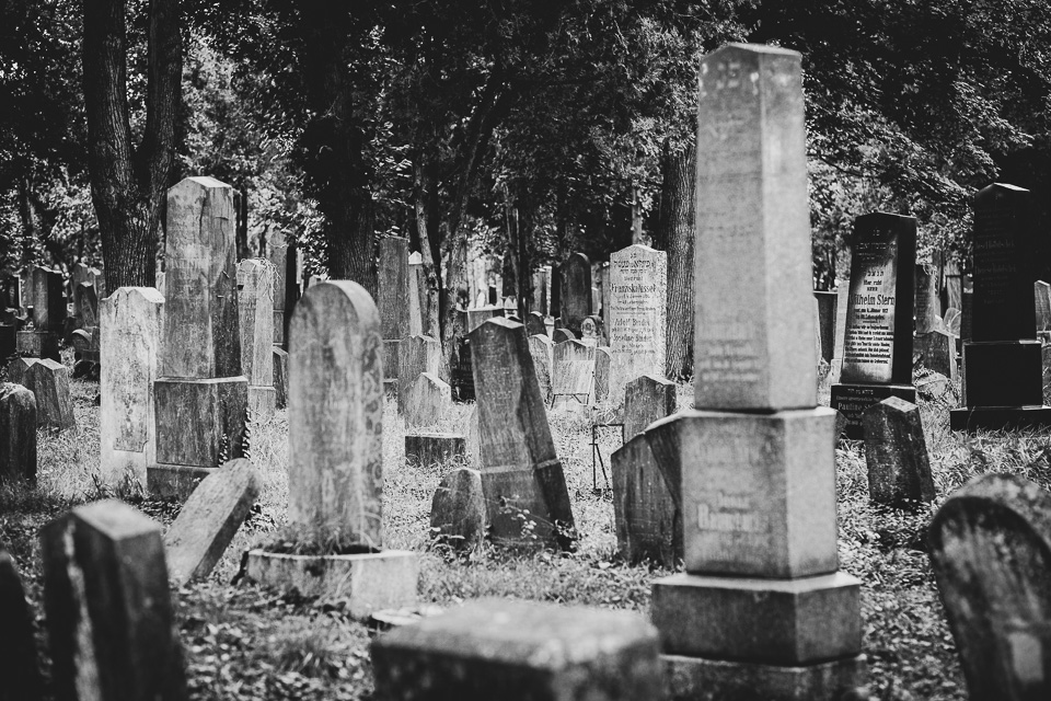 Zentralfriedhof Wien