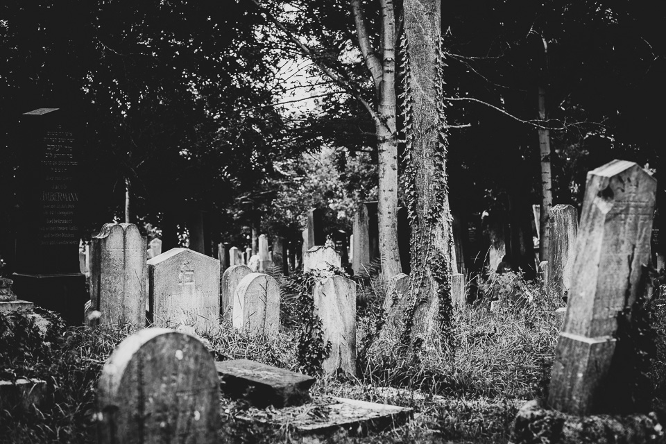 Zentralfriedhof Wien