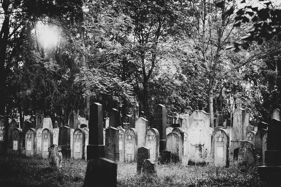 Zentralfriedhof Wien