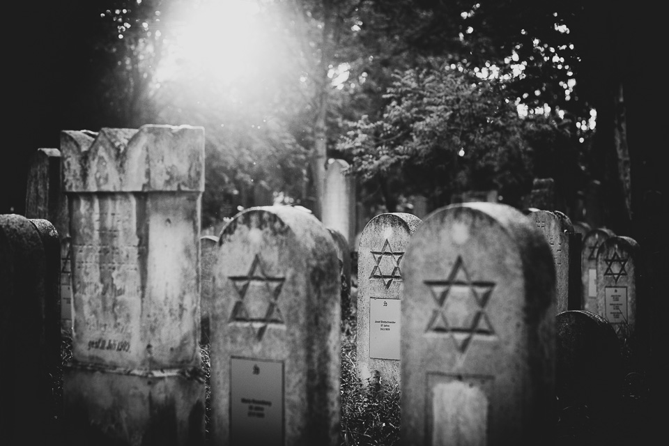Zentralfriedhof Wien