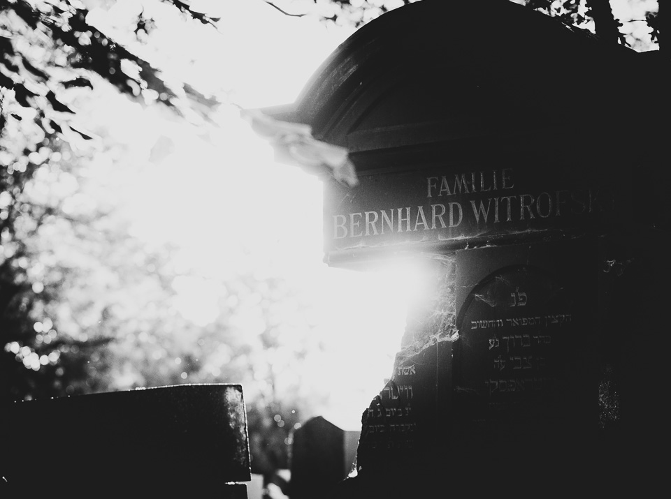 Zentralfriedhof Wien