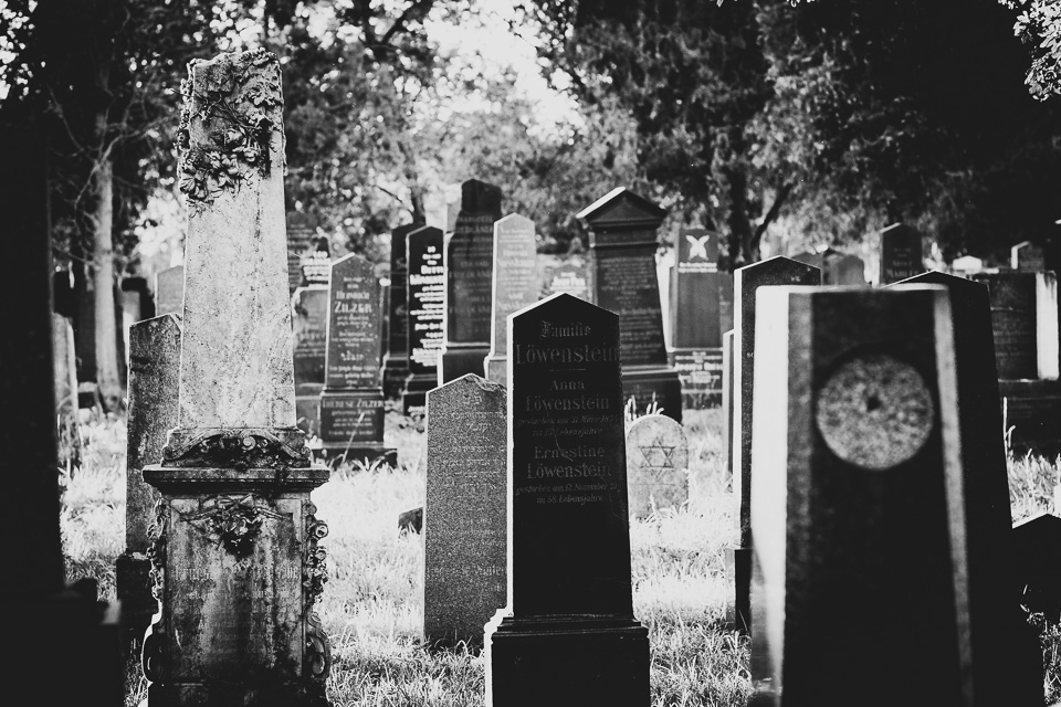 Zentralfriedhof Wien