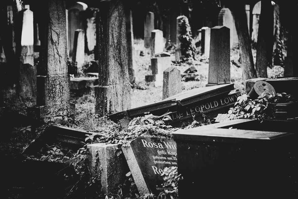 Zentralfriedhof Wien