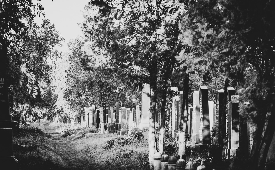 Zentralfriedhof Wien
