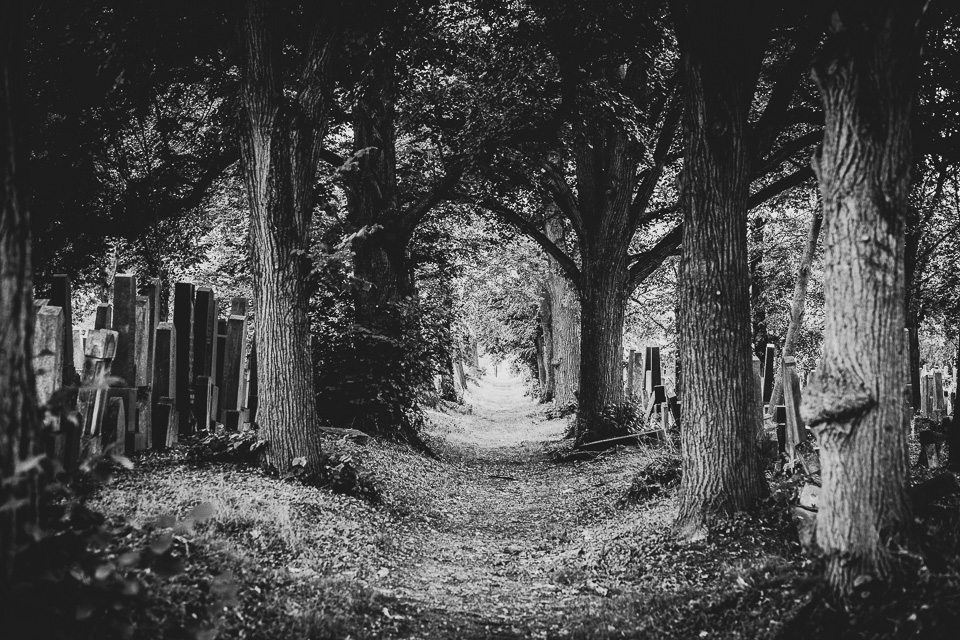 Zentralfriedhof Wien