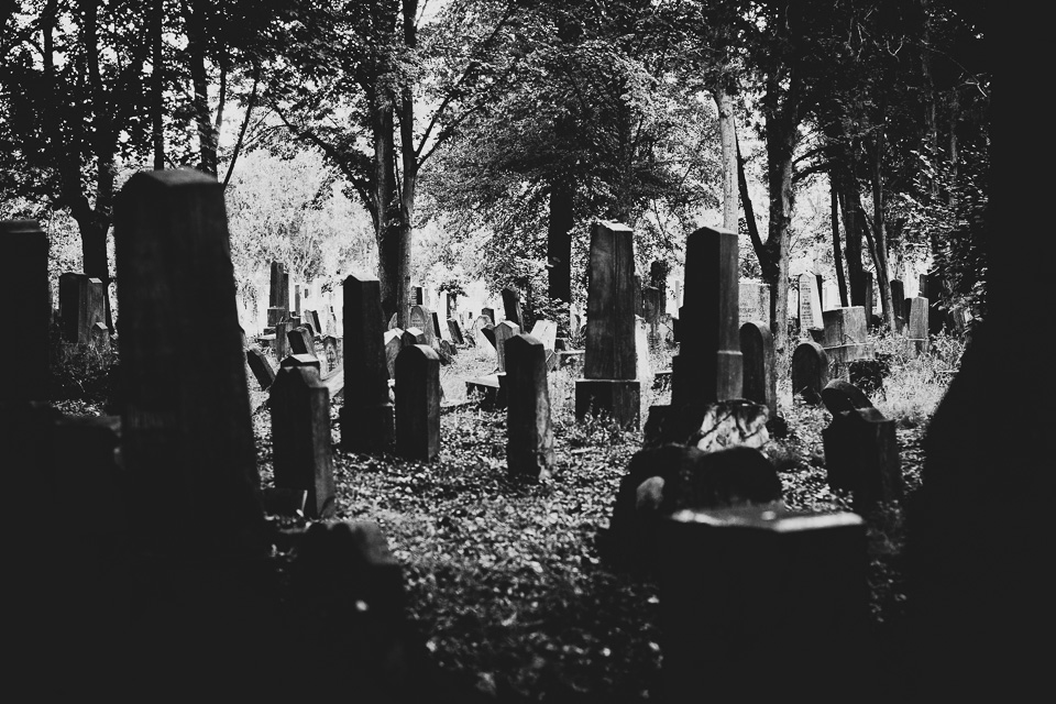 Zentralfriedhof Wien