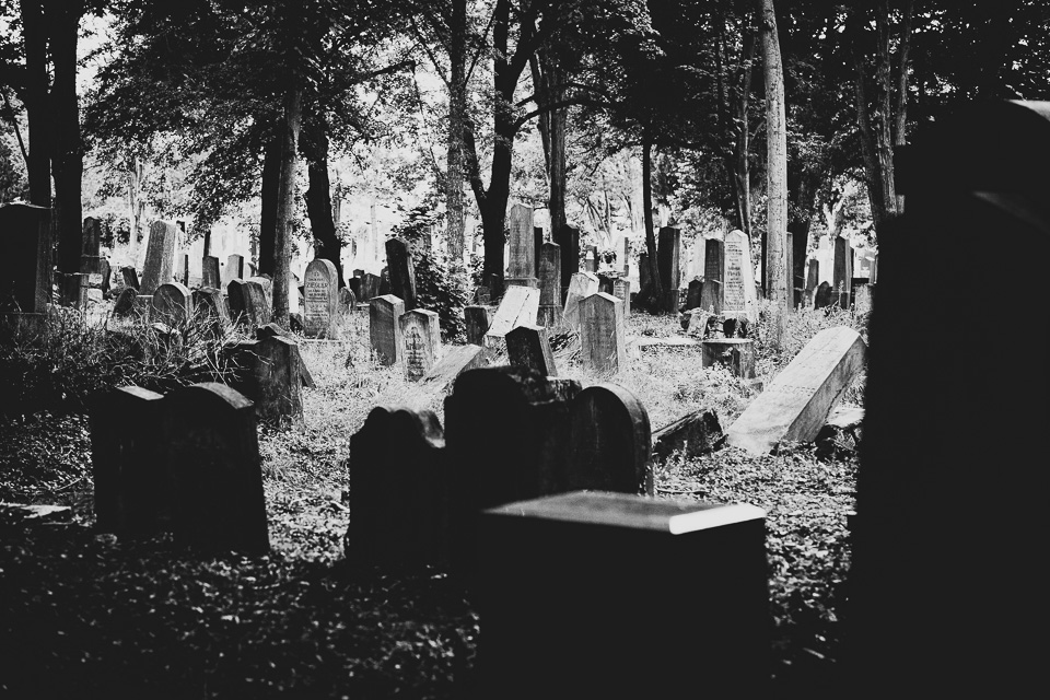 Zentralfriedhof Wien