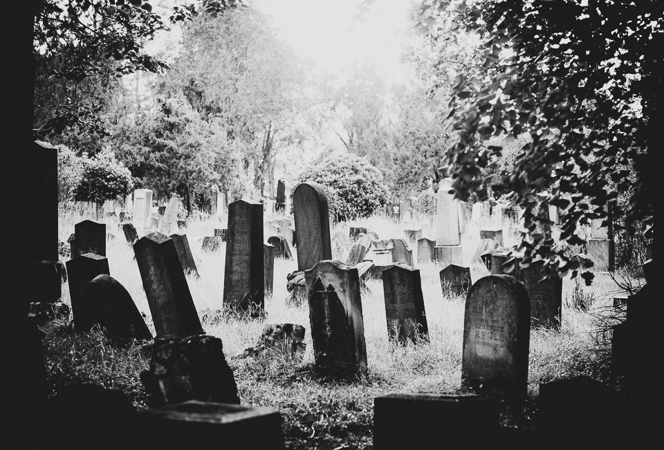 Zentralfriedhof Wien